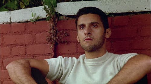 Pinguine in der Bronx Bild 4