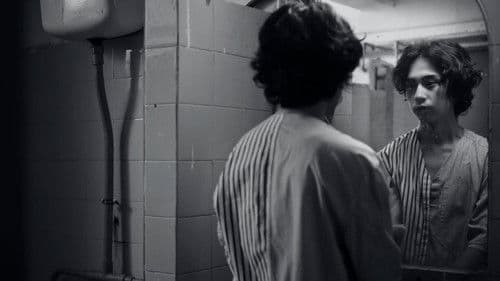 Queerpanorama Bild 2