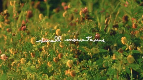 Small Mountains Bild 2