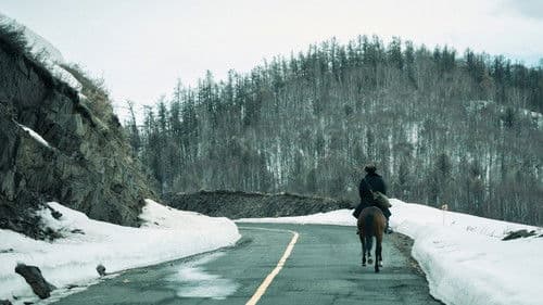 我的阿勒泰 Bild 4