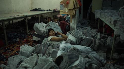 青春（春） Bild 2