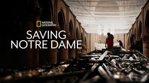 Saving Notre Dame Bild 6