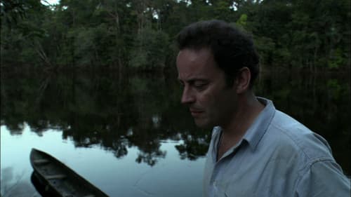 The White Diamond Bild 2