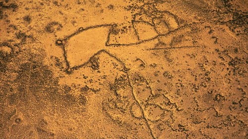 Les mystères des cerfs-volants du désert Bild 2