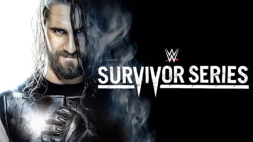 WWE Survivor Series 2014 Bild 2