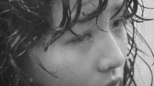 風たちの午後 Bild 3