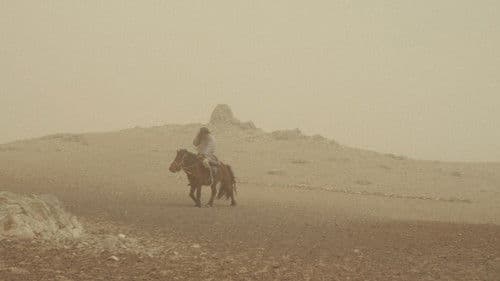 Die Wölfe kommen immer nachts Bild 3