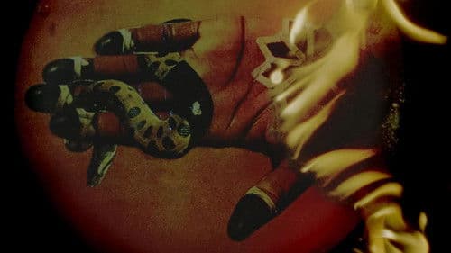 Memoria de un cuerpo desplazado Bild 1