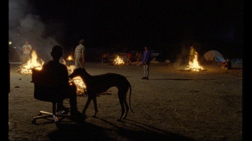 Aunque es de noche Bild 7