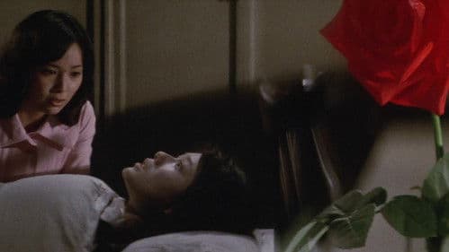 Evil of Dracula Bild 7