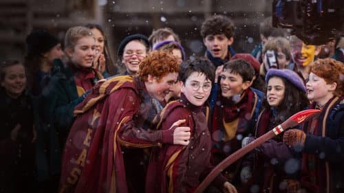 Finding Harry - Die Kunst hinter der Magie Bild 1