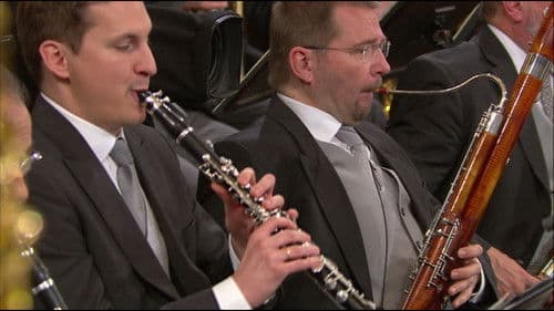 Neujahrskonzert der Wiener Philharmoniker 2015 Bild 1