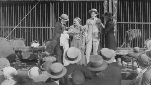 Zander the Great Bild 2