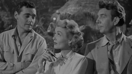 Angel on the Amazon Bild 8