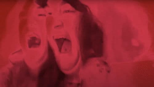 The Anthology Bild 1