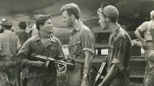 In die japanische Sonne Bild 6