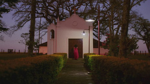 Nosso Tipo Inesquecível Bild 1