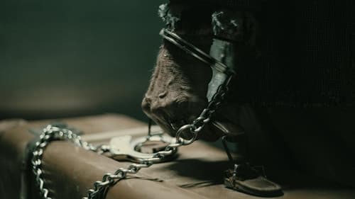 I Carry Them Wherever I Go Bild 1