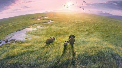 Unsere Erde III Bild 1