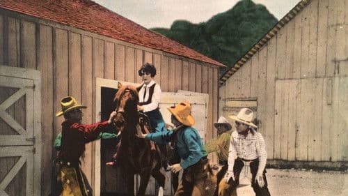 The Arizona Wildcat Bild 1