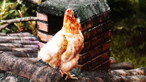 Poluição dos Mares & Oceanos Bild 1