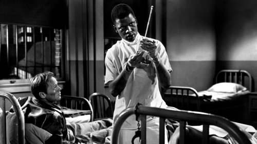 Der Hass ist blind Bild 1