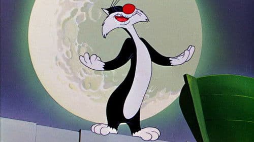 Konzertaner Katzenjammer Bild 1