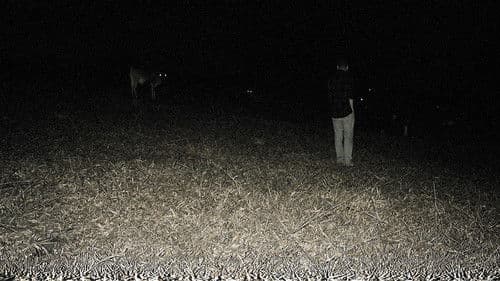 Predação Noturna Bild 1