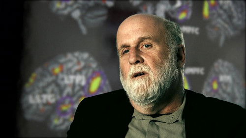 Tricky Memory Bild 2