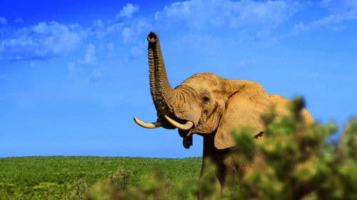 Gorongosa: Paradise Reborn Bild 2