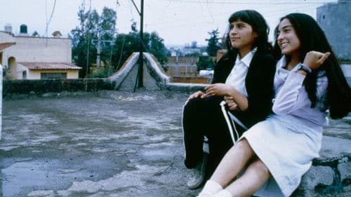 Nadie te oye: perfume de violetas Bild 6