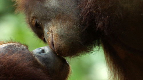 Equator from the Air Bild 1