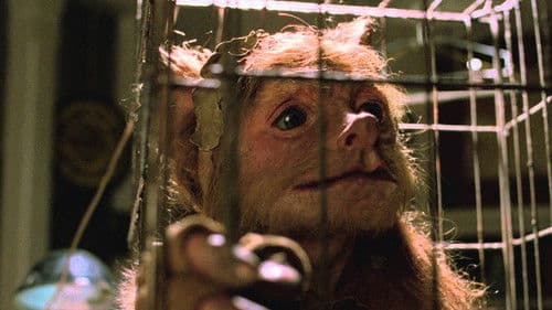 Upworld - Mein Kumpel, der Kobold Bild 4