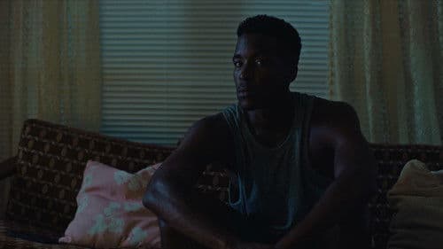 African Giants Bild 6