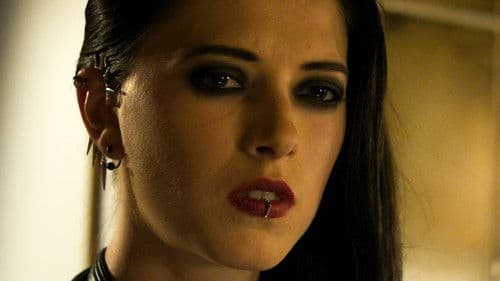 Black Wedding Bild 4