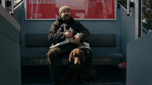 თოვლი ჩემს ეზოში Bild 1