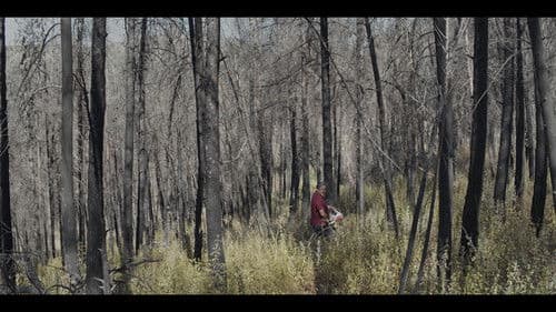 סוקצסיה Bild 1