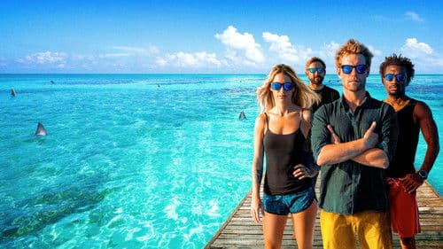 Shark Academy Bild 2