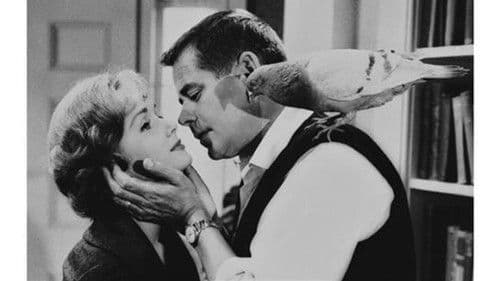 Die Nervensäge Bild 1