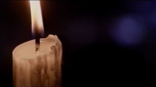 黒薔薇夫人 Bild 4