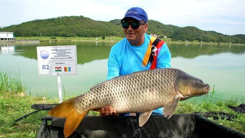 Untold Stories of Eastern Europe Bild 4