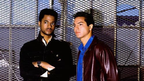 Die Ninja Cops Bild 4