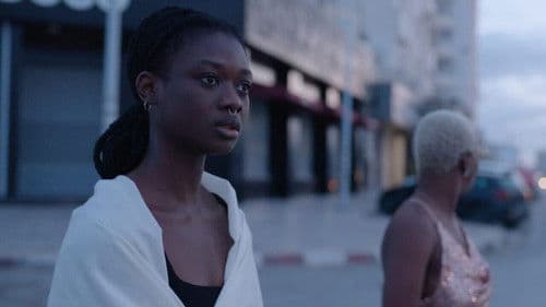 Promis le ciel Bild 5