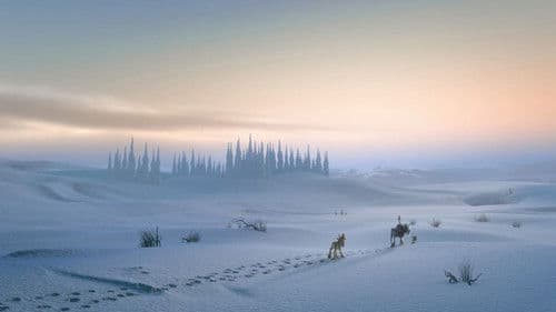 Niko 2 - Kleines Rentier, großer Held Bild 7