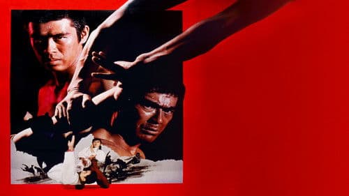 激突！合気道 Bild 1