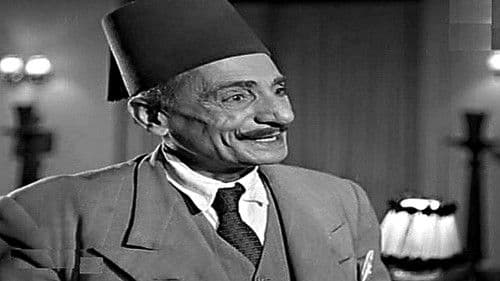 الآنسة ماما Bild 4