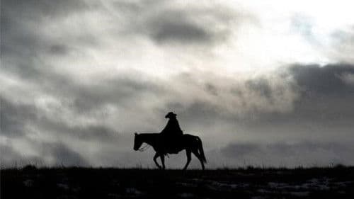 Bring on the Dancing Horses - Die Killerin vor der Tür Bild 1