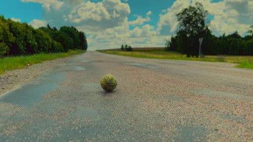 Nežēlīgā svētlaime Bild 3