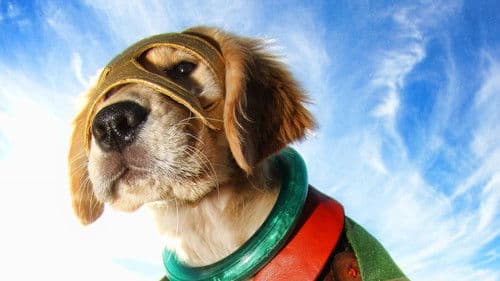 Super Buddies Bild 4