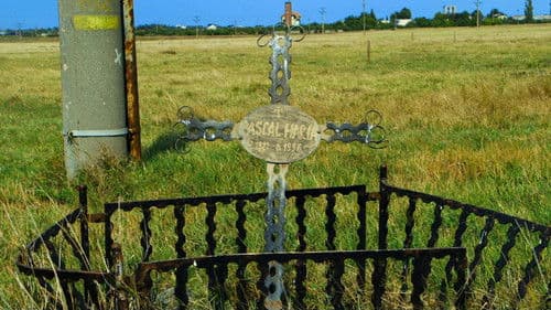 Erwarte nicht zu viel vom Ende der Welt Bild 3